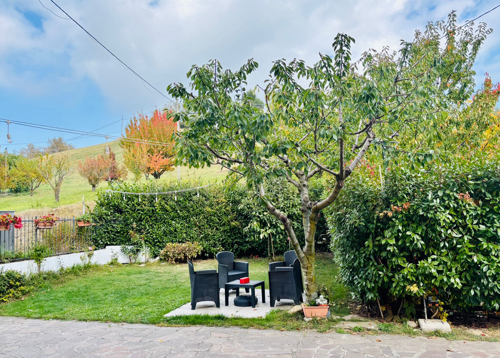 1df13a09-9290-4ab9-abe6-d6ed5ddaca0a