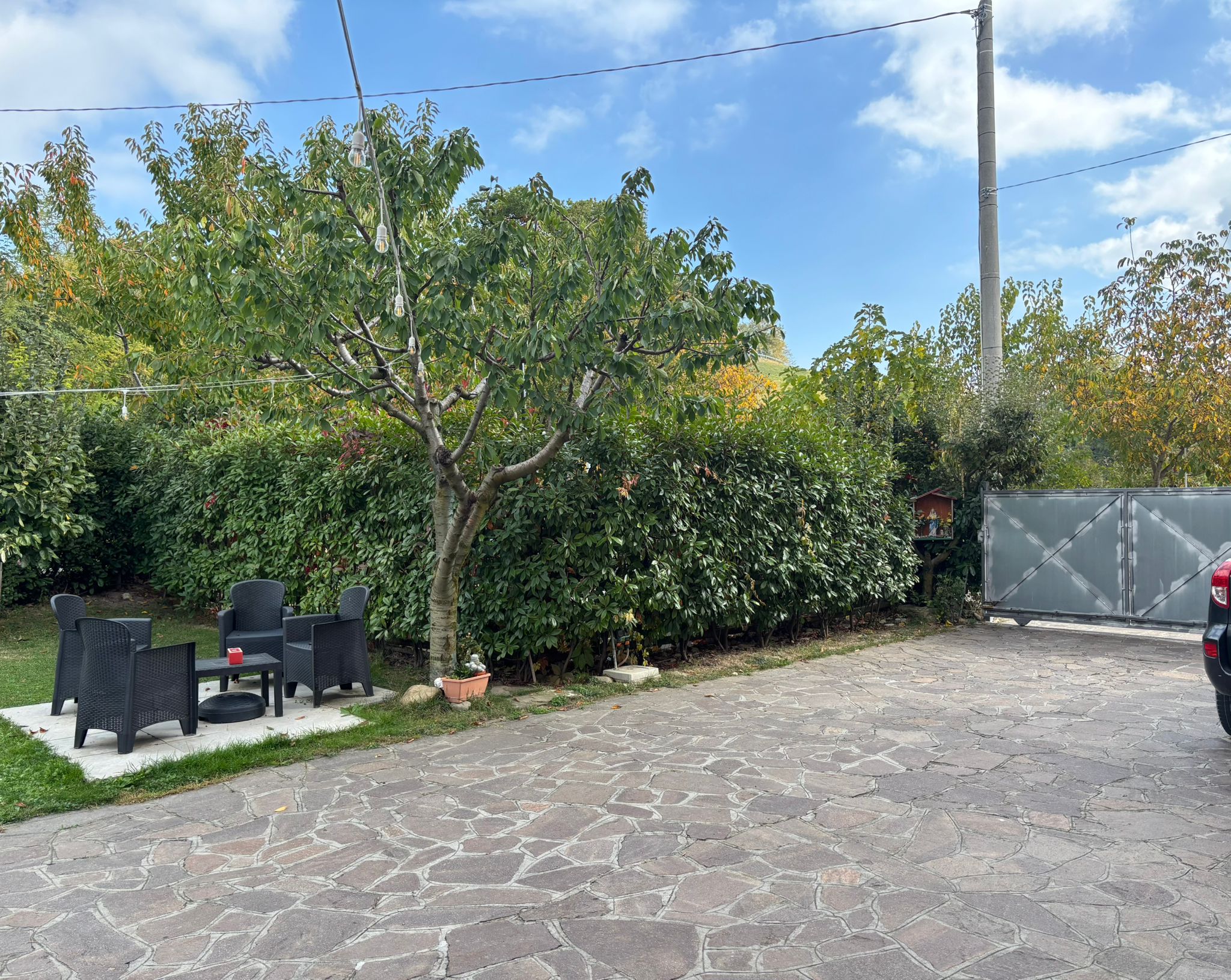 dcd6fda9-838b-494e-a77a-a38a52ed3a3a