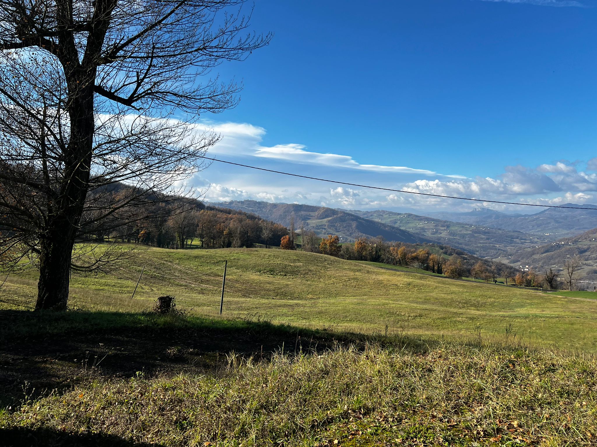 1c06153b-d463-4803-b906-c07bd1e12de0