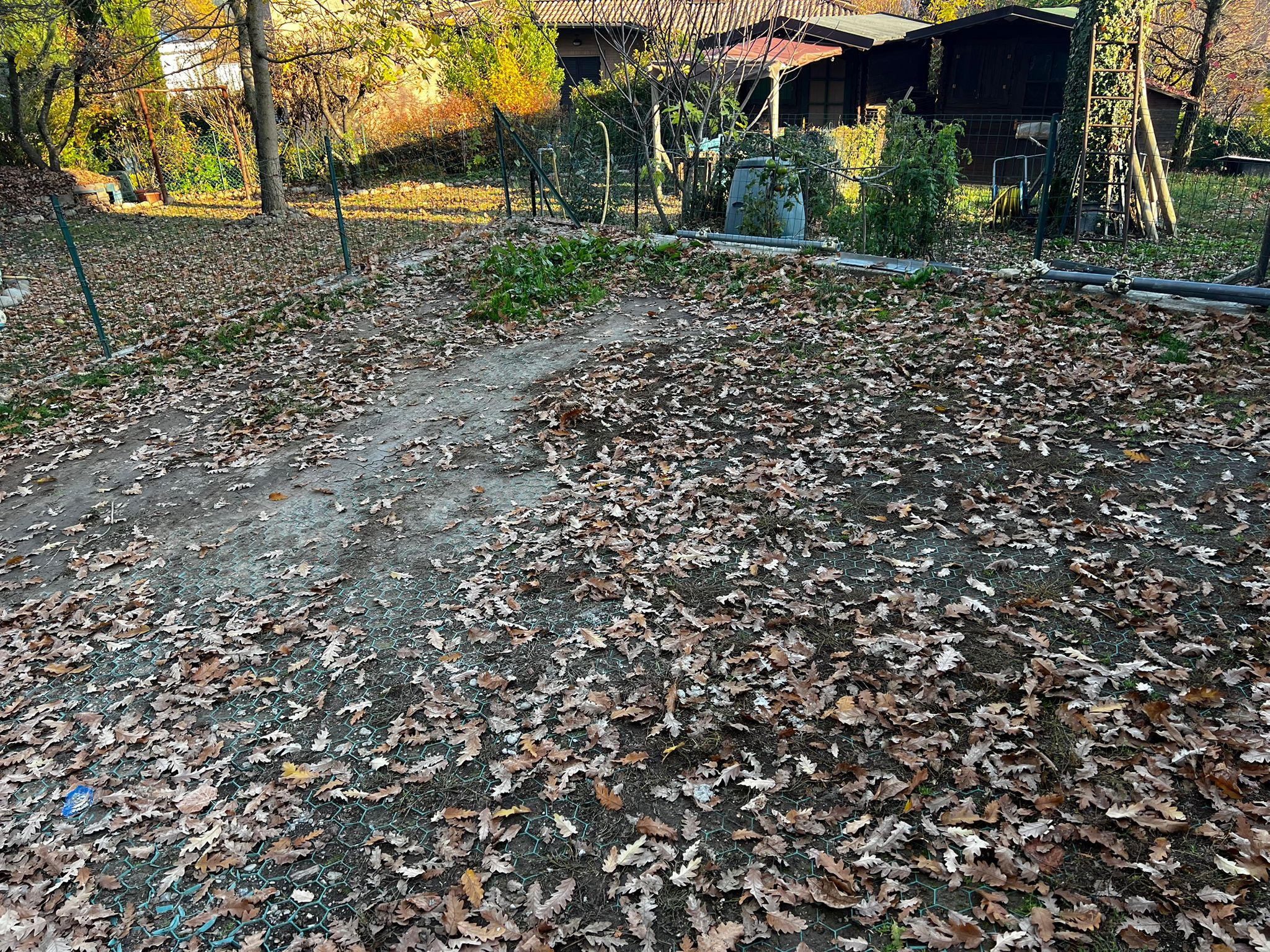 83accb28-1ccb-4d44-b9a4-e4cdf191021e