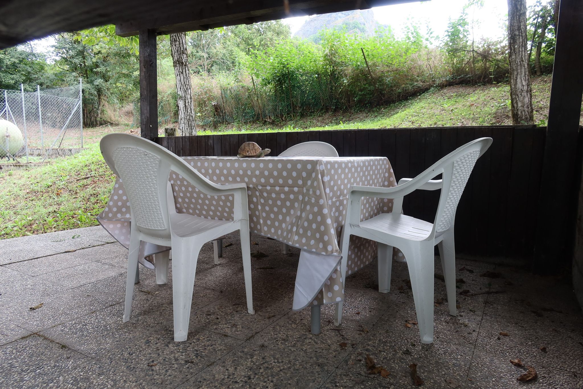 840004ba-b0f8-498d-b4ff-9ec567e271fe