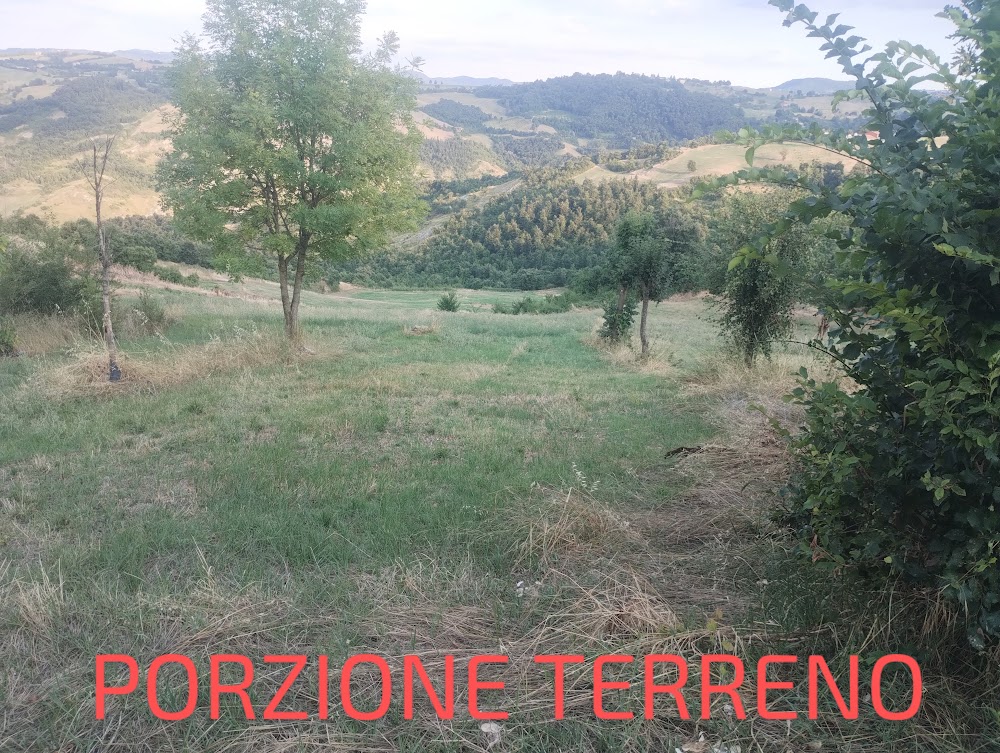 IMG_20250711_194722948~2