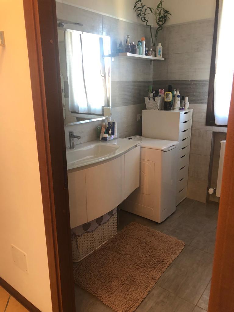 WhatsApp Image 2026-02-06 at 15.07.08 (1)