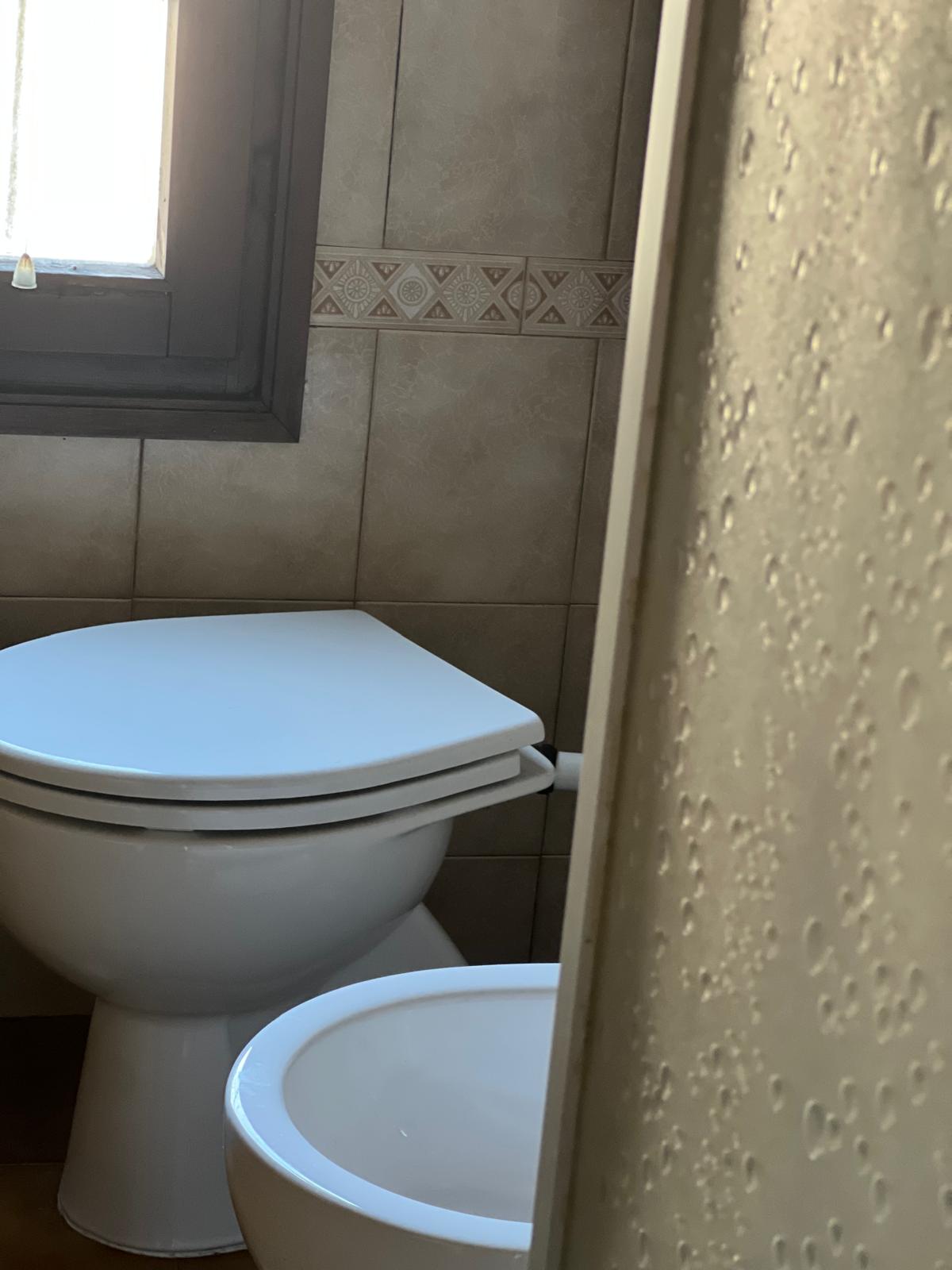 13068cb5-6ec1-42c9-bced-5cbddc342e87