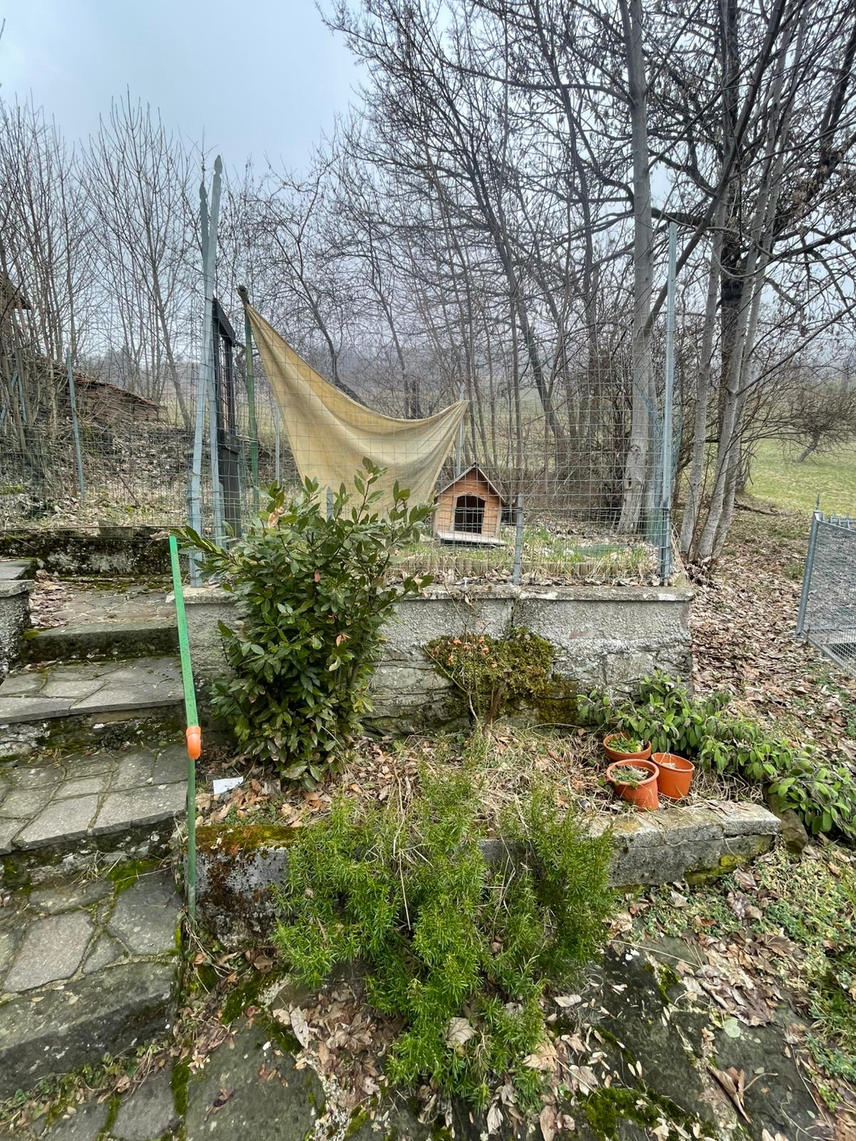 19c75c28-11b5-40f9-a45c-e489317ea351