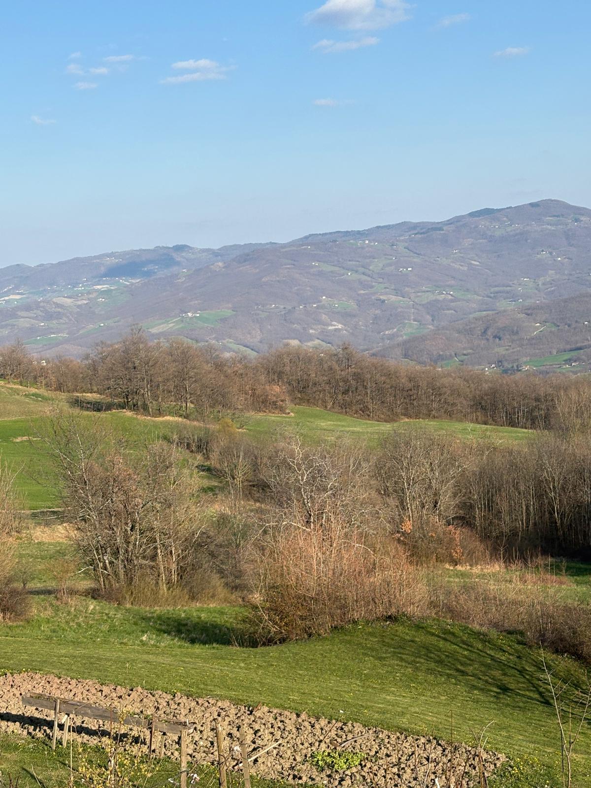 2f1fc171-bab6-4487-9e47-58699e9783da