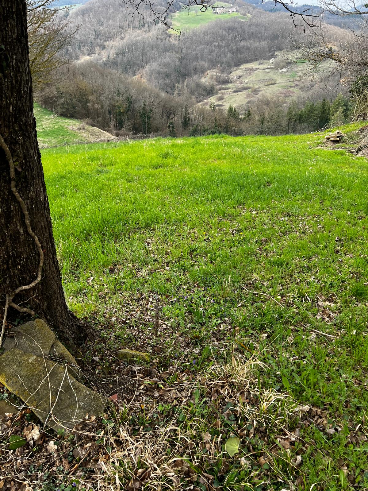 34e39f32-a6e2-47b8-aaa5-61f87d05db96