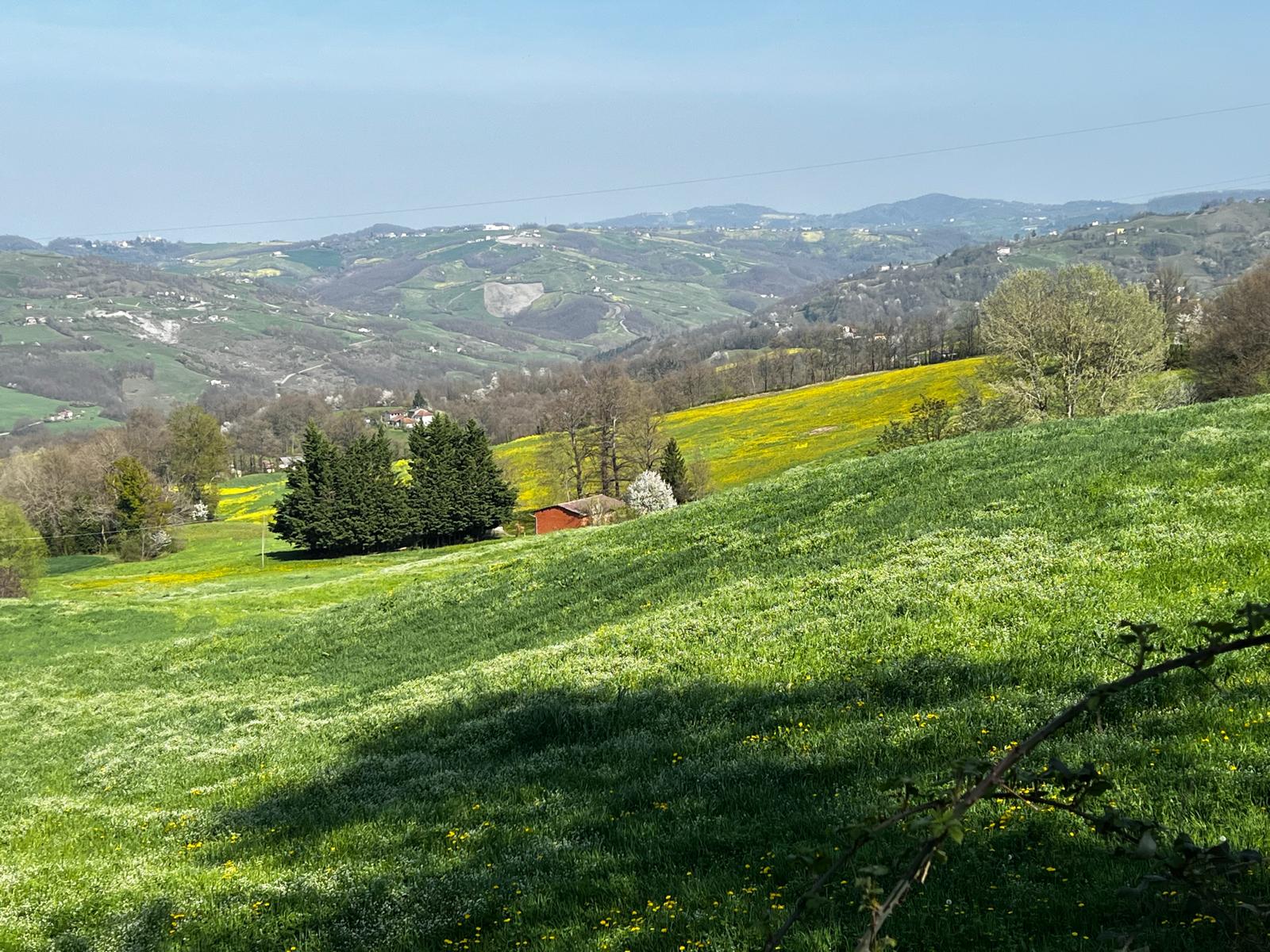 bd420fe7-f317-4d84-befa-066687ee09ae