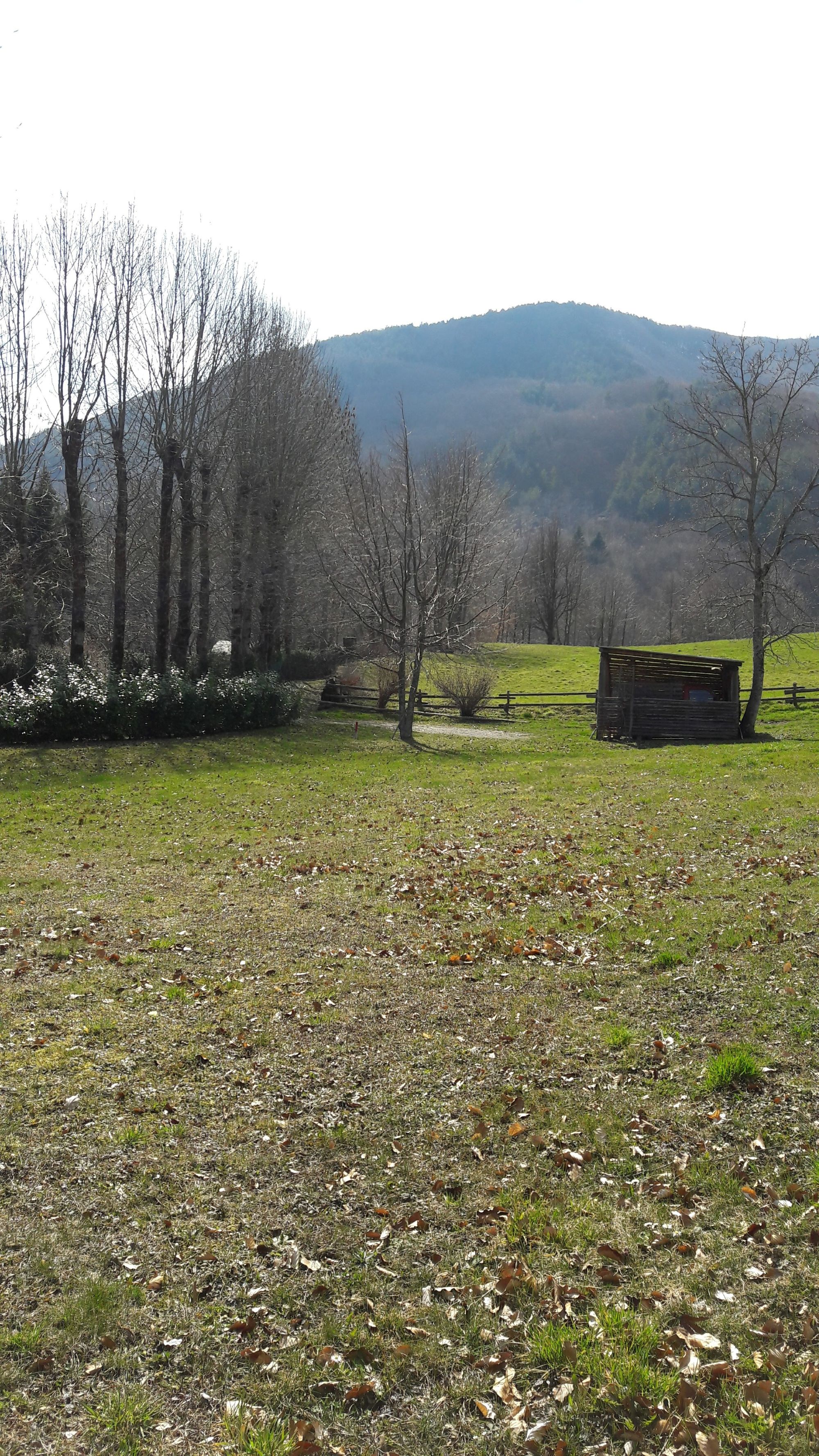 20160326_143437