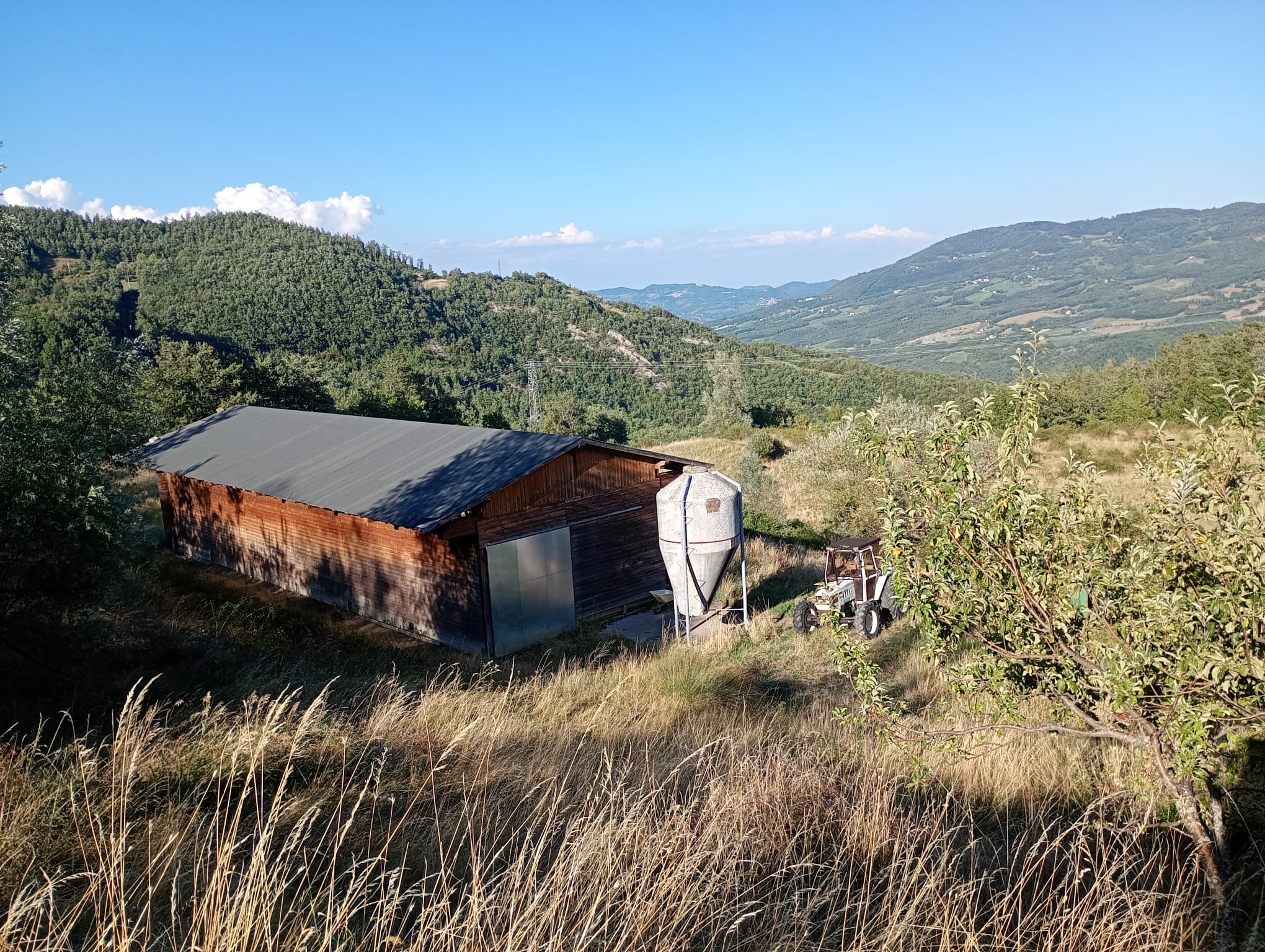 Stalla nuova