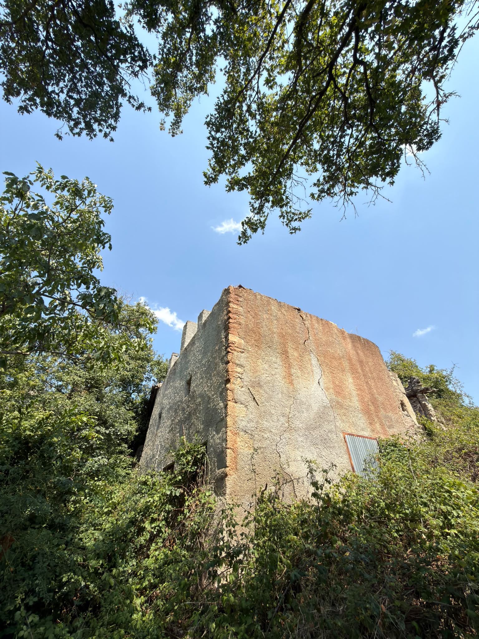 WhatsApp Image 2026-08-12 at 15.49.01